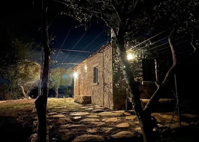 L'isola che non c'è NG Collection